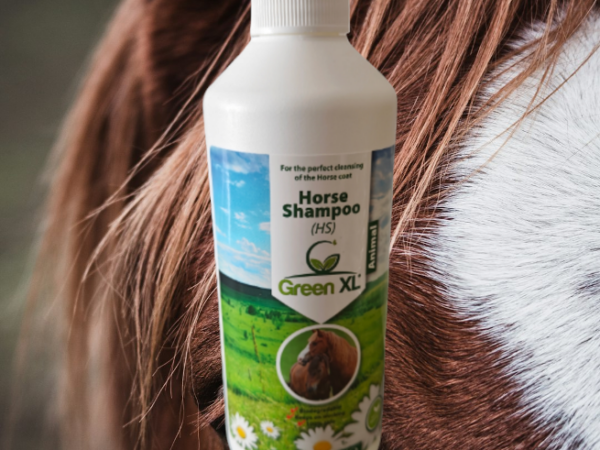 Waarom je paard niet wassen met mensenshampoo?