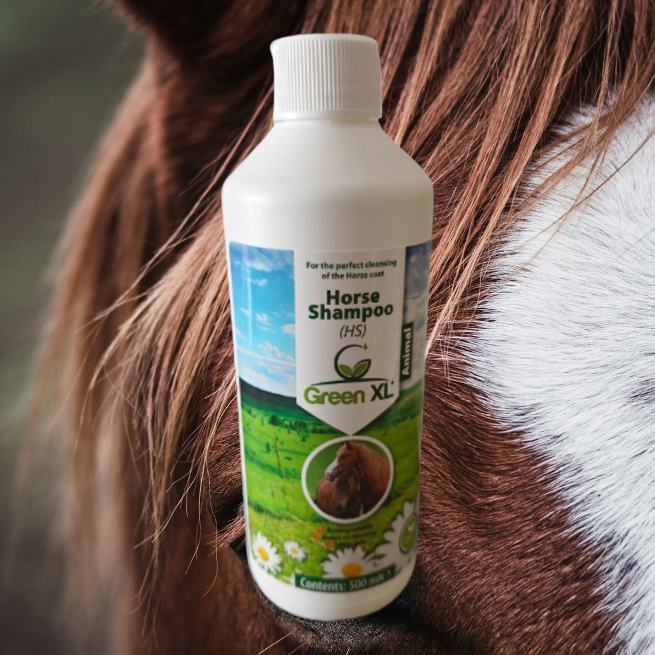 Waarom je paard niet wassen met mensenshampoo?